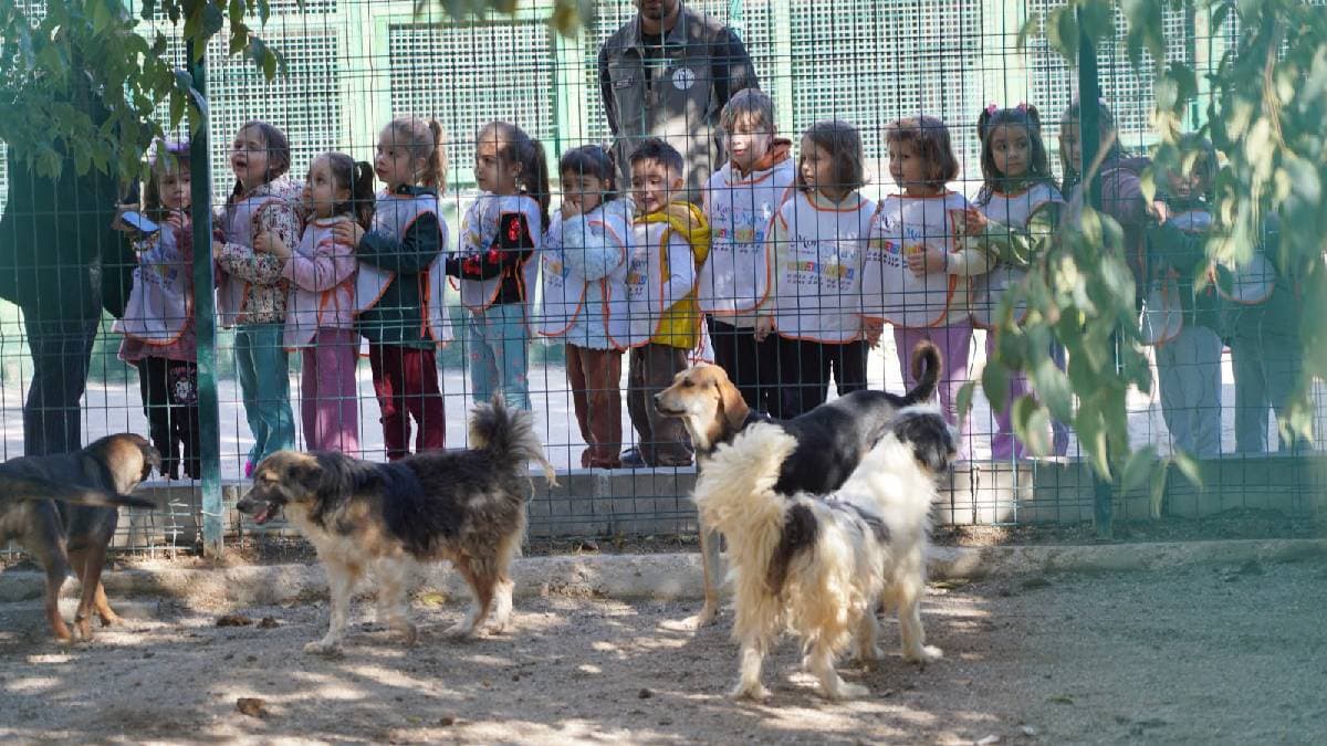Öğrenciler barınak ziyareti yaparak hayvanları sevdi ve mama verdi