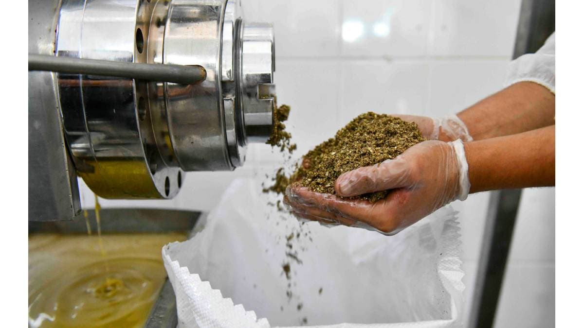 Şereflikoçhisar’da aspir üretimine katma değer sağlayacak tesis kuruldu