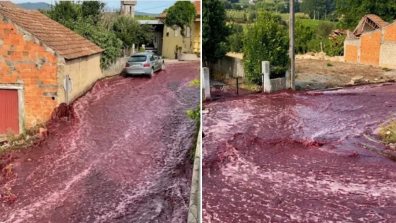 Portekiz’de iki tank patladı: 2,2 milyon litre şarap köy sokaklarına aktı